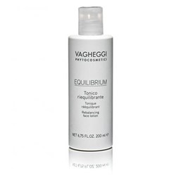 Equilibrium - Rebalancing Face Lotion